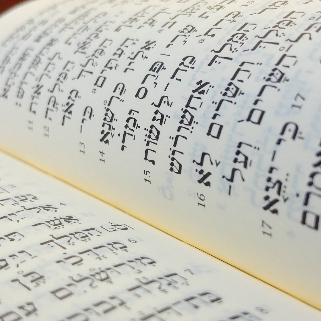 Basics of Biblical Hebrew